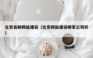 沙河北京自制网站建设（北京网站建设哪家公司好）